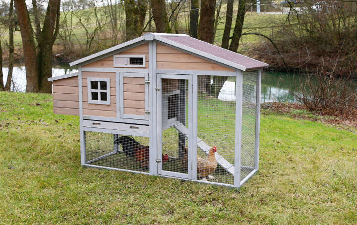 KERBL Hühnerstall-Set „Bonny“